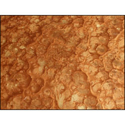 Pure Metallic Epoxy Floor Kit - Autumn Blush / Gold Lion 600 sq/ft