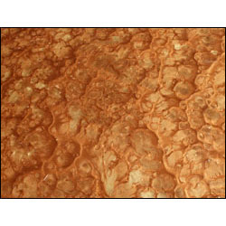 Pure Metallic Epoxy Floor Kit - Autumn Blush / Gold Lion 200 sq/ft - Click Image to Close