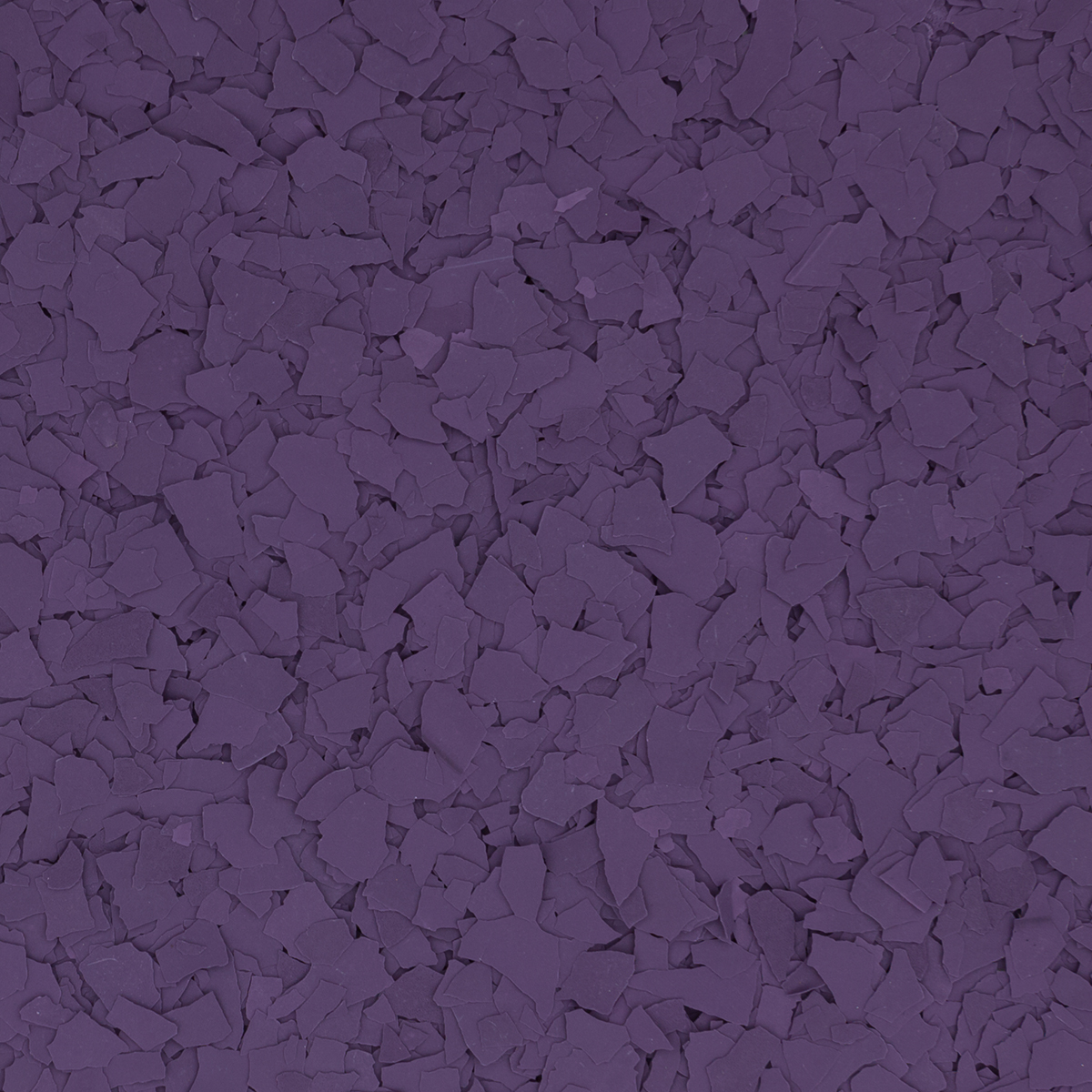 Color Chips / Grape Purple